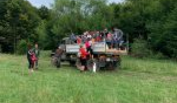 3. fotografia fotogalérie Letný výstup na Plešiveckú planinu 2019, 07. 09. 2019