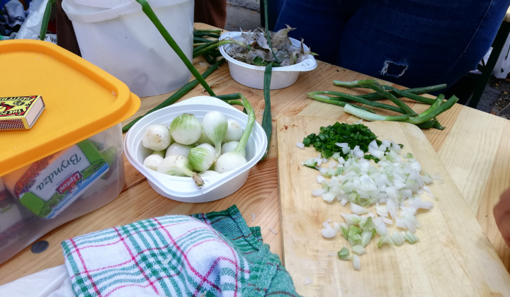 15. fotografia fotogalérie Deň slovenského folklóru v Rožňave 2019