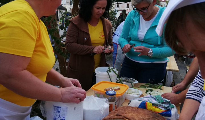 16. fotografia fotogalérie Deň slovenského folklóru v Rožňave 2019