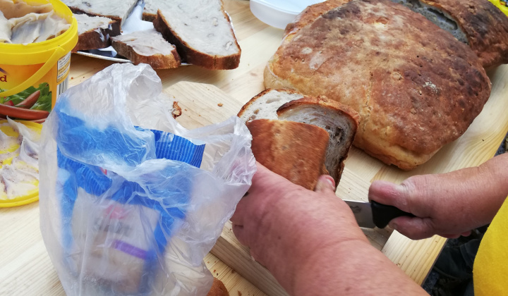 19. fotografia fotogalérie Deň slovenského folklóru v Rožňave 2019