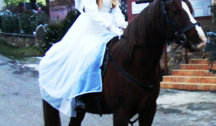 5. fotografia fotogalérie Mikulas 2018